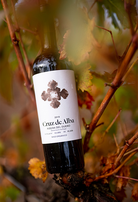 CDA 3 carrousel_cruzdealba